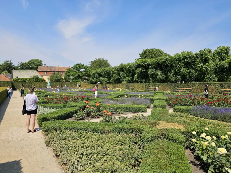 Jardin de roses