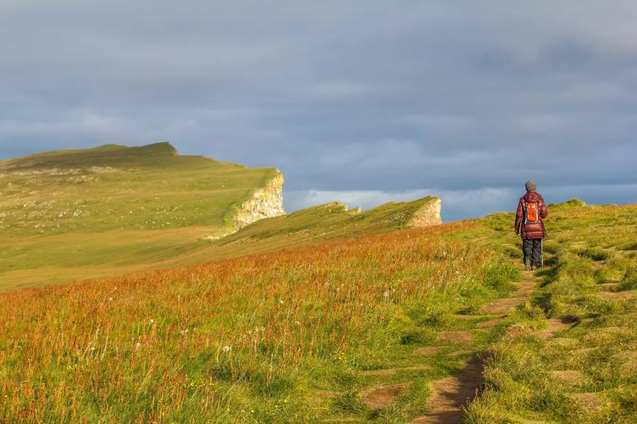 Voyage le long des falaises