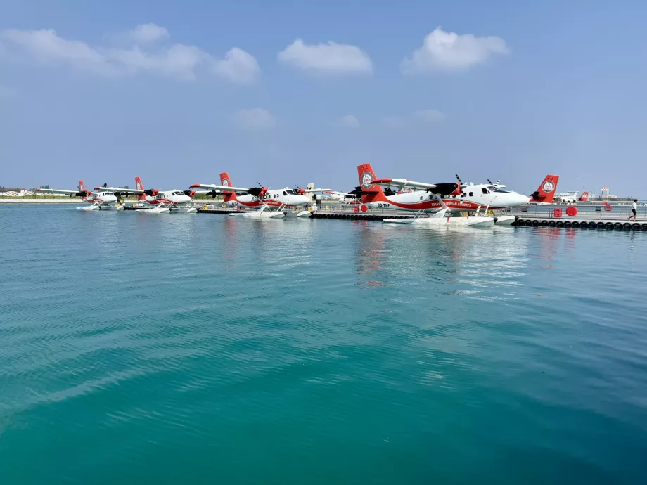 Flotte d'hydravions de Trans Maldivian Airways