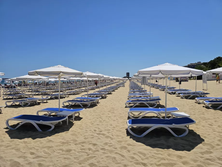 Chaises longues et parasols