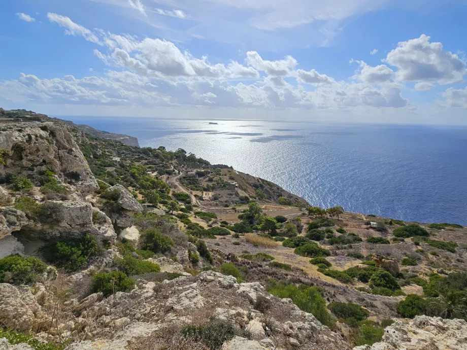 Champs le long des falaises de Dingli