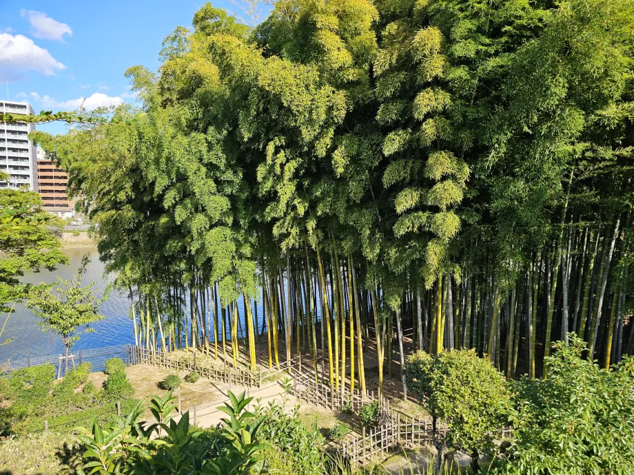 Jardin de Shukkeien