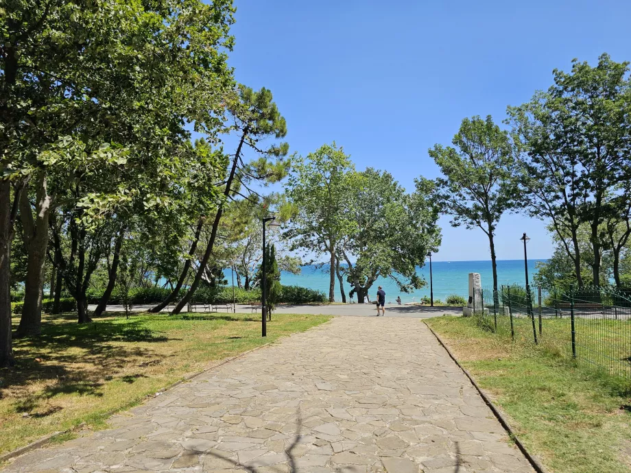 Jardin de la mer