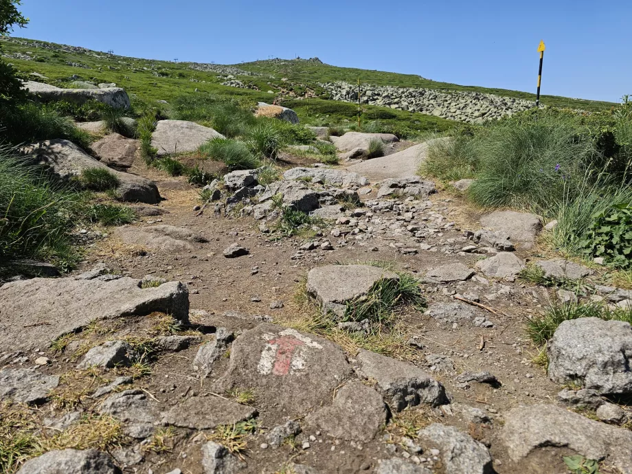 Chemin touristique de Vitosha