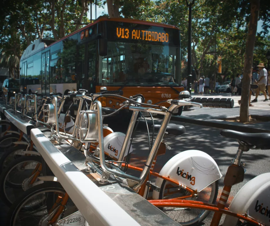 Bus et vélos partagés Barcelone