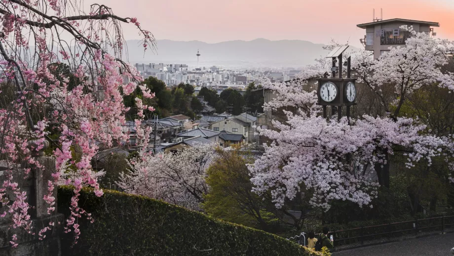 Printemps Kyoto