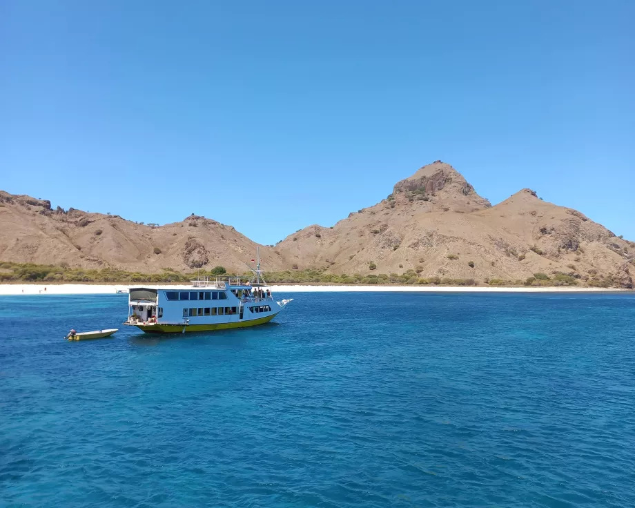 Île de Rinca, îles Komodo, Indonésie