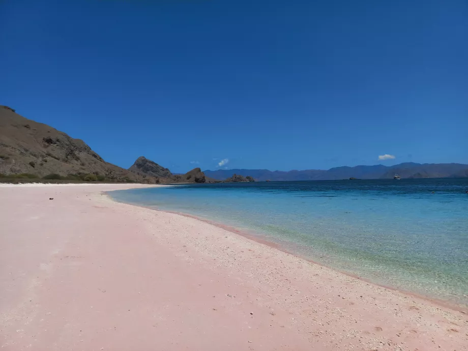 Plage rose, Îles de Komodo - tout ce qu'il faut savoir