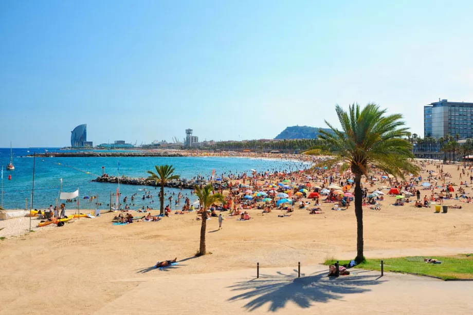 Plage de Barcelone