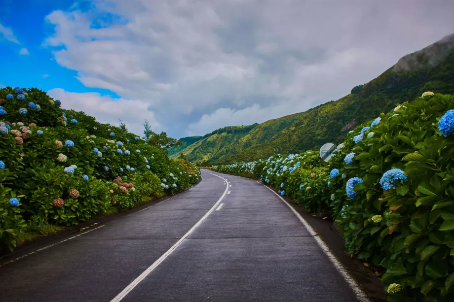 Route de Sao Miguel