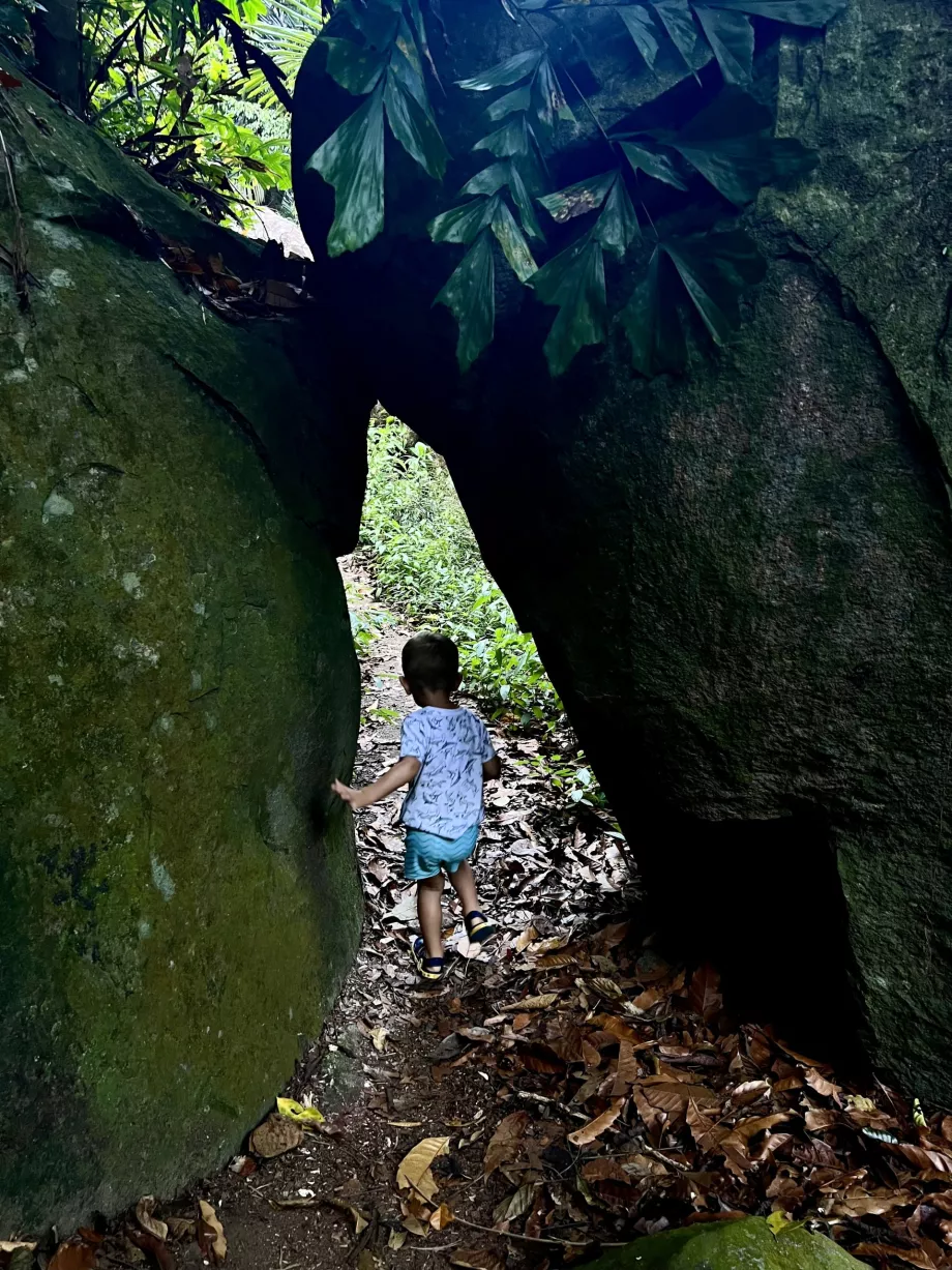 Trekking Paya-Genting, Tioman