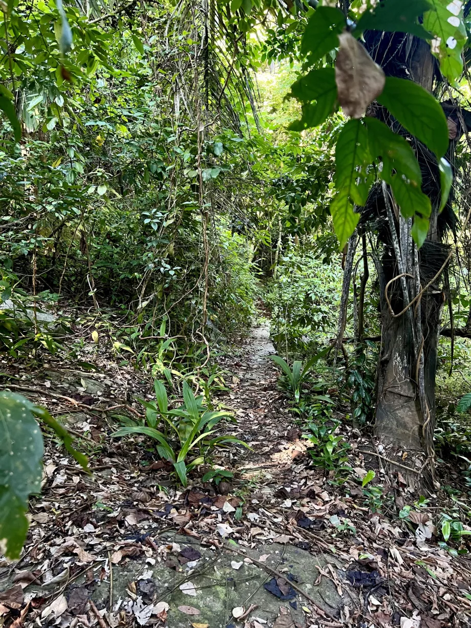 Randonnée de Paya à Genting, Tioman